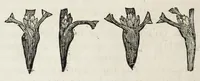 Picture 7 of 13 from Instruction pour les jardins fruitiers et potagers : avec un traité des orangers, suivy de quelques réflexions sur l'agriculture (1690), leaf 284