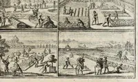 Picture 8 of 13 from Instruction pour les jardins fruitiers et potagers : avec un traité des orangers, suivy de quelques réflexions sur l'agriculture (1690), leaf 303