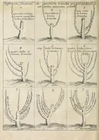 Picture 2 of 13 from Instruction pour les jardins fruitiers et potagers : avec un traité des orangers, suivy de quelques réflexions sur l'agriculture (1690), leaf 32