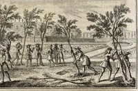 An illustration from Instruction pour les jardins fruitiers et potagers : avec un traité des orangers, suivy de quelques réflexions sur l'agriculture (1690)