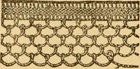 An illustration from Instructions for lace making .. (1878)