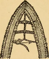 An illustration from Instructions for lace making .. (1878)