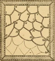 An illustration from Instructions for lace making .. (1878)