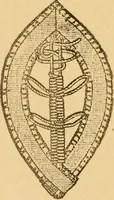 An illustration from Instructions for lace making .. (1878)