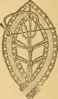 An illustration from Instructions for lace making .. (1878)