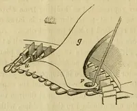 Picture 5 of 11 from Instructions for operators of J. B. Aiken's family knitting machine. Explaining the manner in which the goods are finished up, the machine kept in order, &c., &c. .. (1861), leaf 12