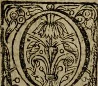 An illustration from Instructions for a right comforting afflicted consciences: with special antidotes against some grievous temptations. Delivered for the most part in the lecture at Kettering in Northamptonshire (1635)