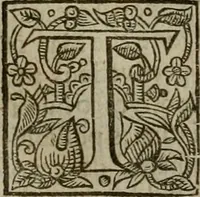 Picture 19 of 41 from Instructions for a right comforting afflicted consciences: with special antidotes against some grievous temptations. Delivered for the most part in the lecture at Kettering in Northamptonshire (1635), leaf 308