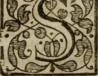 Picture 21 of 41 from Instructions for a right comforting afflicted consciences: with special antidotes against some grievous temptations. Delivered for the most part in the lecture at Kettering in Northamptonshire (1635), leaf 348