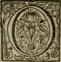 An illustration from Instructions for a right comforting afflicted consciences: with special antidotes against some grievous temptations. Delivered for the most part in the lecture at Kettering in Northamptonshire (1635)