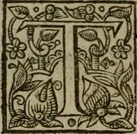 Picture 23 of 41 from Instructions for a right comforting afflicted consciences: with special antidotes against some grievous temptations. Delivered for the most part in the lecture at Kettering in Northamptonshire (1635), leaf 365