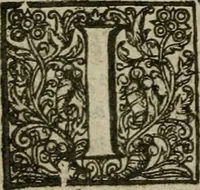 Picture 25 of 41 from Instructions for a right comforting afflicted consciences: with special antidotes against some grievous temptations. Delivered for the most part in the lecture at Kettering in Northamptonshire (1635), leaf 397