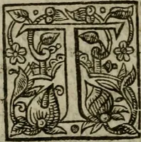 Picture 26 of 41 from Instructions for a right comforting afflicted consciences: with special antidotes against some grievous temptations. Delivered for the most part in the lecture at Kettering in Northamptonshire (1635), leaf 405
