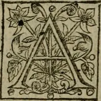 Picture 27 of 41 from Instructions for a right comforting afflicted consciences: with special antidotes against some grievous temptations. Delivered for the most part in the lecture at Kettering in Northamptonshire (1635), leaf 413
