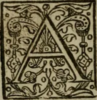 Picture 28 of 41 from Instructions for a right comforting afflicted consciences: with special antidotes against some grievous temptations. Delivered for the most part in the lecture at Kettering in Northamptonshire (1635), leaf 419