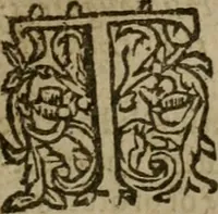 An illustration from Instructions for a right comforting afflicted consciences: with special antidotes against some grievous temptations. Delivered for the most part in the lecture at Kettering in Northamptonshire (1635)