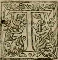 Picture 30 of 41 from Instructions for a right comforting afflicted consciences: with special antidotes against some grievous temptations. Delivered for the most part in the lecture at Kettering in Northamptonshire (1635), leaf 432