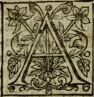 An illustration from Instructions for a right comforting afflicted consciences: with special antidotes against some grievous temptations. Delivered for the most part in the lecture at Kettering in Northamptonshire (1635)