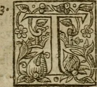 An illustration from Instructions for a right comforting afflicted consciences: with special antidotes against some grievous temptations. Delivered for the most part in the lecture at Kettering in Northamptonshire (1635)
