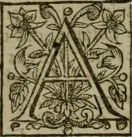Picture 34 of 41 from Instructions for a right comforting afflicted consciences: with special antidotes against some grievous temptations. Delivered for the most part in the lecture at Kettering in Northamptonshire (1635), leaf 501