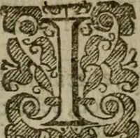 Picture 35 of 41 from Instructions for a right comforting afflicted consciences: with special antidotes against some grievous temptations. Delivered for the most part in the lecture at Kettering in Northamptonshire (1635), leaf 507
