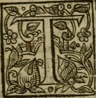 An illustration from Instructions for a right comforting afflicted consciences: with special antidotes against some grievous temptations. Delivered for the most part in the lecture at Kettering in Northamptonshire (1635)
