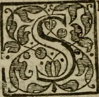 Picture 38 of 41 from Instructions for a right comforting afflicted consciences: with special antidotes against some grievous temptations. Delivered for the most part in the lecture at Kettering in Northamptonshire (1635), leaf 533