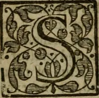 Picture 39 of 41 from Instructions for a right comforting afflicted consciences: with special antidotes against some grievous temptations. Delivered for the most part in the lecture at Kettering in Northamptonshire (1635), leaf 571