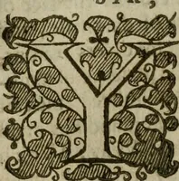 Picture 2 of 41 from Instructions for a right comforting afflicted consciences: with special antidotes against some grievous temptations. Delivered for the most part in the lecture at Kettering in Northamptonshire (1635), leaf 6