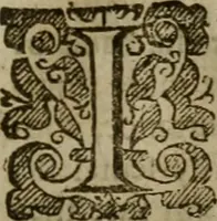 Picture 41 of 41 from Instructions for a right comforting afflicted consciences: with special antidotes against some grievous temptations. Delivered for the most part in the lecture at Kettering in Northamptonshire (1635), leaf 602