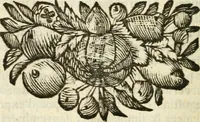 An illustration from Instructions sur la grace selon l'Ecriture et les peres: (1700)