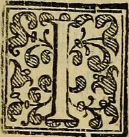 An illustration from Instruttione delle cose notabili della città di Bologna & altre particolari : con tutte le memorie antiche, che si ritrouano nella città e contà, et alcune altre cose curiose (1621)
