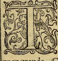 Picture 3 of 7 from Instruttione delle cose notabili della città di Bologna & altre particolari : con tutte le memorie antiche, che si ritrouano nella città e contà, et alcune altre cose curiose (1621), leaf 6