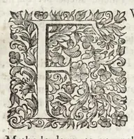 An illustration from Instruttioni militari appropriate all' uso moderno di guerreggiare. Opera nuova, utile e necessaria à professori dell' onorata disciplina della militia. Divisa in tre libri (1692)