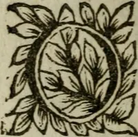 An illustration from Instrvctions chrestiennes et theologiqves; ov, Toute la doctrine de l'eucharistie est en peu de mots clairement expliquée. Auec trois pratiques tirées de diuers autheurs, l'vne pour bien communier, l'autre pour bien ouïr la messe, & la derniere pour bien visiter la s. Sacrement de l'autel. Par l'ordre de Messire Anne de Mvrviel (1646)