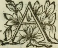 An illustration from Instrvctions chrestiennes et theologiqves; ov, Toute la doctrine de l'eucharistie est en peu de mots clairement expliquée. Auec trois pratiques tirées de diuers autheurs, l'vne pour bien communier, l'autre pour bien ouïr la messe, & la derniere pour bien visiter la s. Sacrement de l'autel. Par l'ordre de Messire Anne de Mvrviel (1646)
