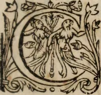 Picture 6 of 13 from Insulana (1635), leaf 122
