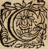 Picture 12 of 13 from Insulana (1635), leaf 401