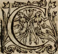 An illustration from Insulana (1635)