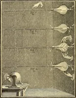 An illustration from The intellectual rise in electricity; a history (1895)