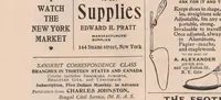 An illustration from Intelligence (1897)
