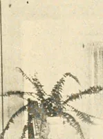 An illustration from Interiors beautiful and the decoration of the home (1922)