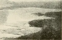 Picture 54 of 258 from Interiors beautiful and the decoration of the home (1922), leaf 45