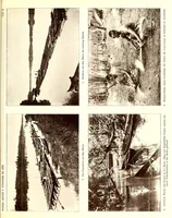 Picture 1 of 14 from Internationales Archiv für Ethnographie (1888), leaf 313