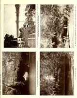 An illustration from Internationales Archiv für Ethnographie (1888)