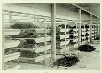 An illustration from International Acceptance Bank Textile Raw Materials 1924 (1924)