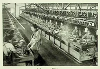 An illustration from International Acceptance Bank Textile Raw Materials 1924 (1924)
