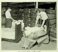 Picture 17 of 18 from International Acceptance Bank Textile Raw Materials 1924 (1924), leaf 112