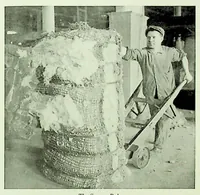 Picture 2 of 18 from International Acceptance Bank Textile Raw Materials 1924 (1924), leaf 16