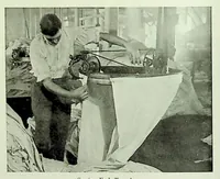 An illustration from International Acceptance Bank Textile Raw Materials 1924 (1924)